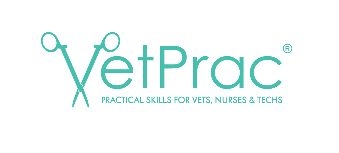 VetPrac-Logo_Teal-1